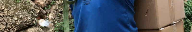 הובלות חמישה כוכבים