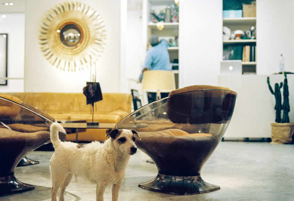 הובלת דירה באופן אחראי